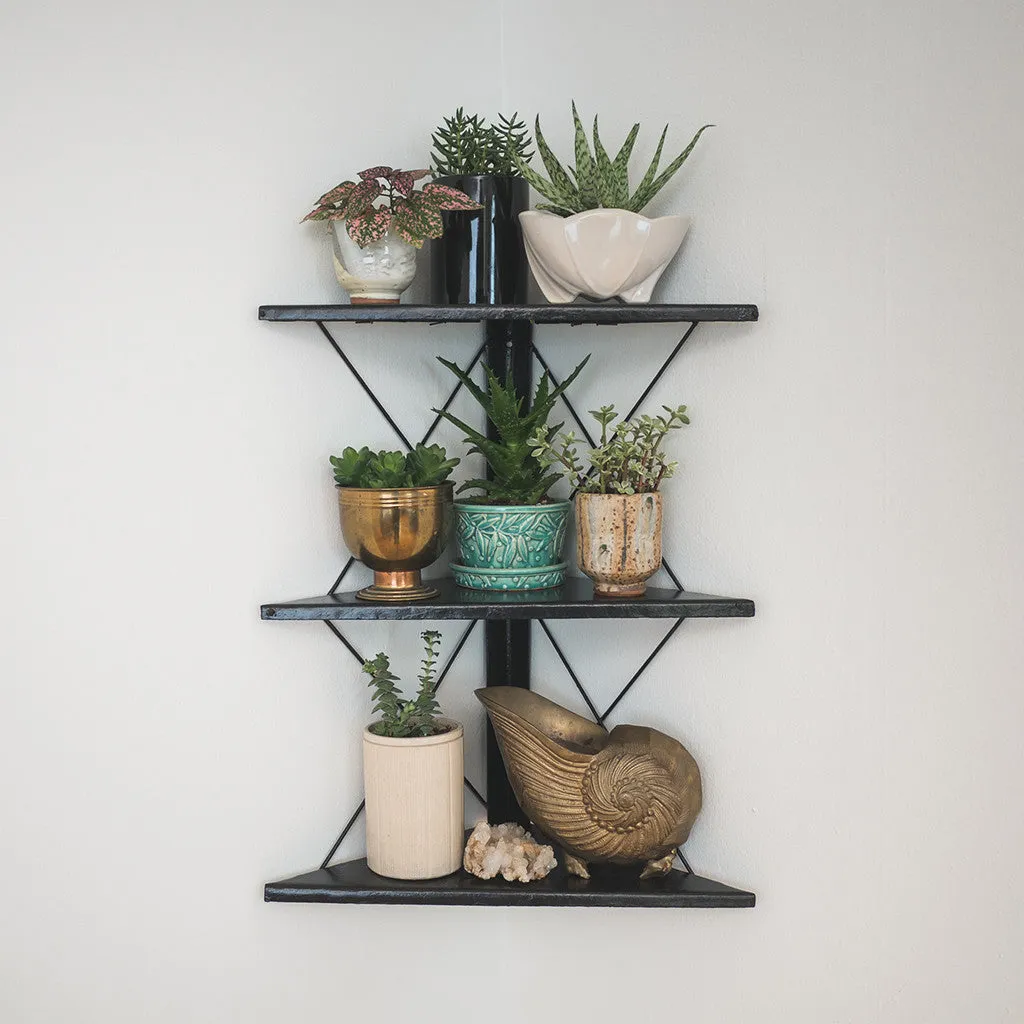Corner Wall Shelf