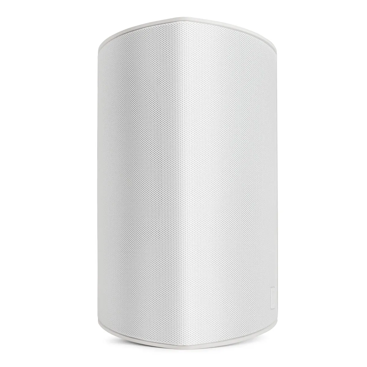 Definitive Technology AW450 All Weather Speaker with Bracket - Pair (White)
