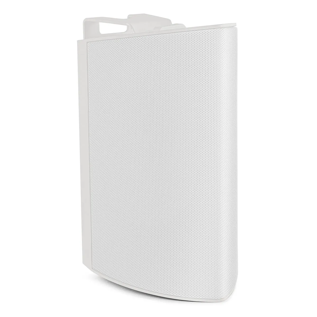 Definitive Technology AW450 All Weather Speaker with Bracket - Pair (White)