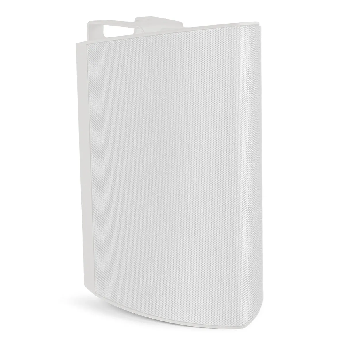 Definitive Technology AW550 All Weather Speaker with Bracket - Pair (White)