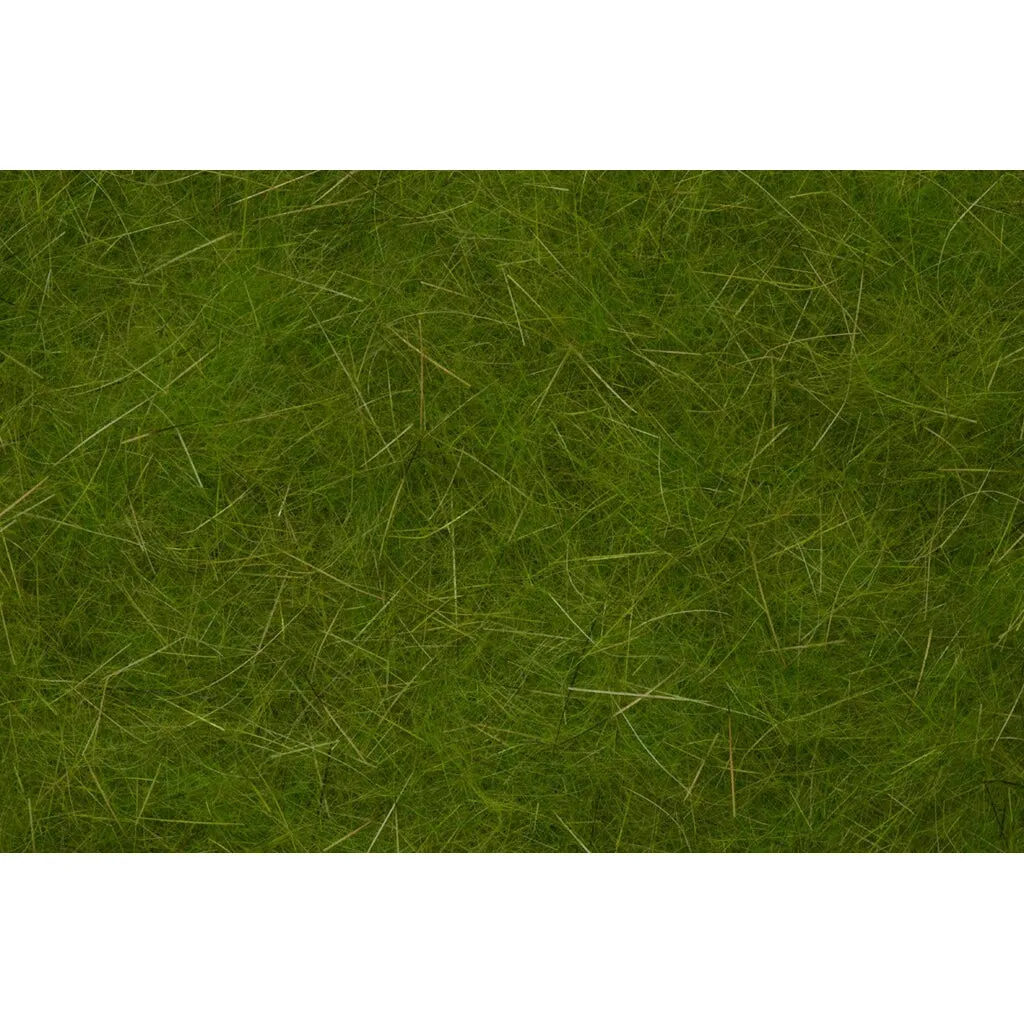 Fulling Mill Eco Warrior Dub
