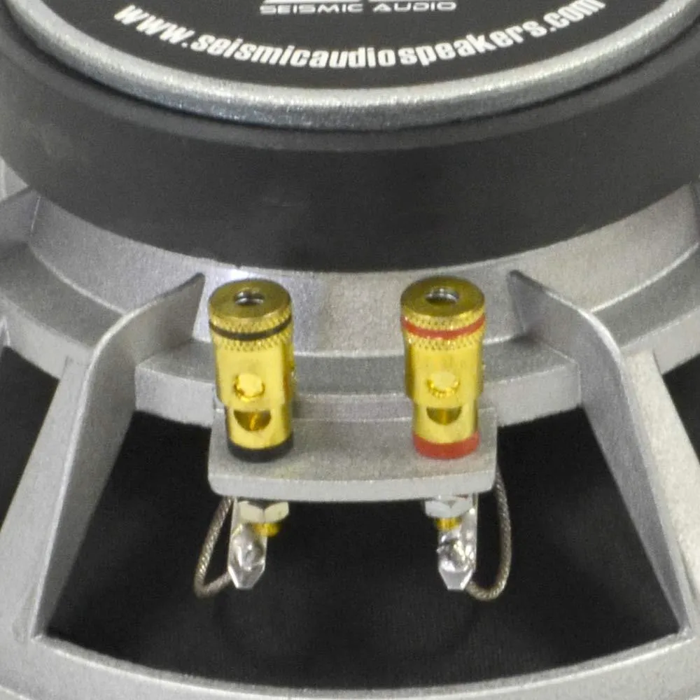 Richter-8 - 8" Raw Speaker/Woofer 175 W RMS
